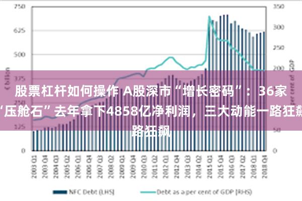 股票杠杆如何操作 A股深市“增长密码”：36家“压舱石”去年拿下4858亿净利润，三大动能一路狂飙