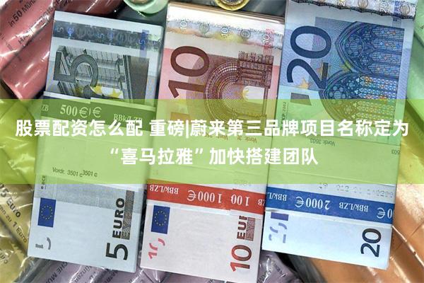 股票配资怎么配 重磅|蔚来第三品牌项目名称定为“喜马拉雅”加快搭建团队