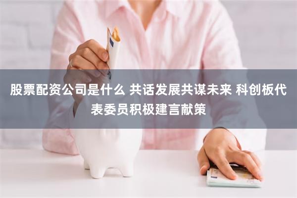 股票配资公司是什么 共话发展共谋未来 科创板代表委员积极建言献策